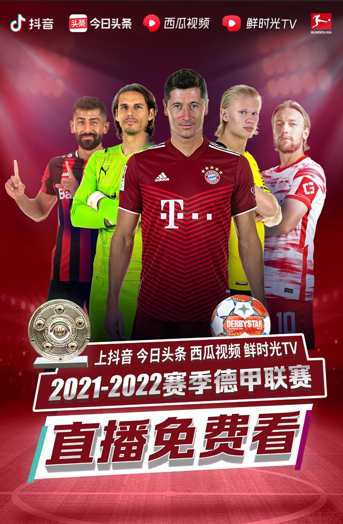 数据分